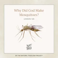 Nat Theo Nature Lessons Rooted in the Bible artwork