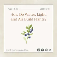 Nat Theo Nature Lessons Rooted in the Bible artwork