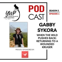 The Birding Life Podcast Network artwork