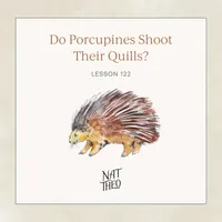Nat Theo Nature Lessons Rooted in the Bible artwork