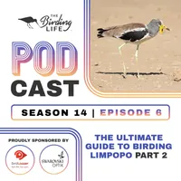 The Birding Life Podcast Network artwork