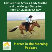 Horse Radio Network All Shows Feed artwork