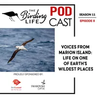 The Birding Life Podcast Network artwork