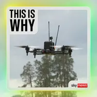 This Is Why artwork