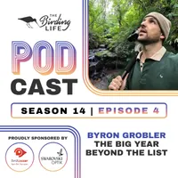 The Birding Life Podcast Network artwork