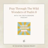Nat Theo Nature Lessons Rooted in the Bible artwork