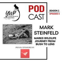 The Birding Life Podcast Network artwork