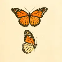 Future Ecologies artwork