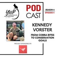 The Birding Life Podcast Network artwork