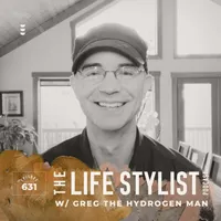 The Life Stylist artwork
