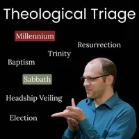 Anabaptist Perspectives artwork