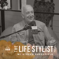 The Life Stylist artwork