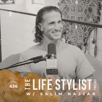The Life Stylist artwork