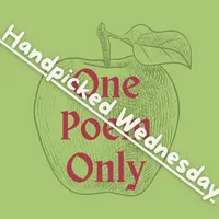 One Poem Only artwork