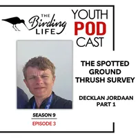 The Birding Life Podcast Network artwork