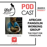 The Birding Life Podcast Network artwork