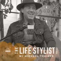 The Life Stylist artwork