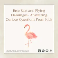 Nat Theo Nature Lessons Rooted in the Bible artwork