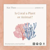 Nat Theo Nature Lessons Rooted in the Bible artwork