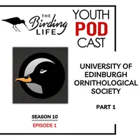 The Birding Life Podcast Network artwork