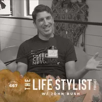 The Life Stylist artwork