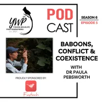 The Birding Life Podcast Network artwork