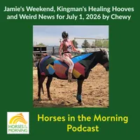 Horse Radio Network All Shows Feed artwork