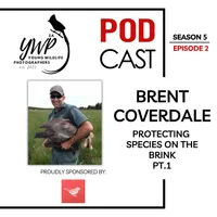 The Birding Life Podcast Network artwork