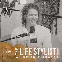The Life Stylist artwork