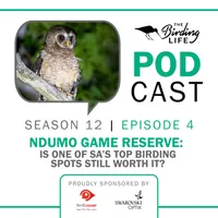 The Birding Life Podcast Network artwork