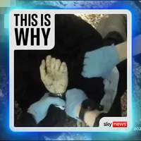 This Is Why artwork