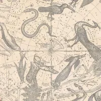 Futura dans les étoiles : le rendez-vous de l'astronomie artwork