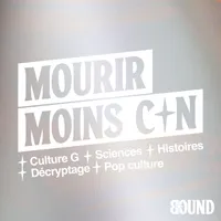 Mourir Moins Con artwork
