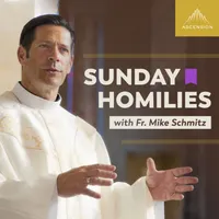 Sunday Homilies with Fr. Mike Schmitz artwork