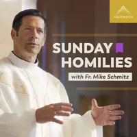 Sunday Homilies with Fr. Mike Schmitz artwork