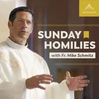 Sunday Homilies with Fr. Mike Schmitz artwork