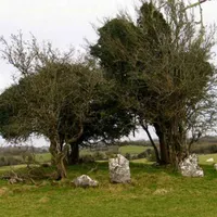 The History of Ireland artwork
