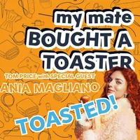 My Mate Bought A Toaster artwork