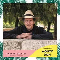 The Travel Diaries artwork