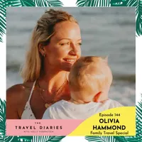 The Travel Diaries artwork