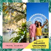 The Travel Diaries artwork