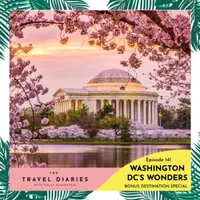 The Travel Diaries artwork
