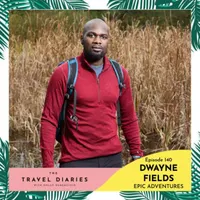 The Travel Diaries artwork