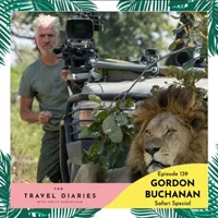 The Travel Diaries artwork
