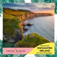 The Travel Diaries artwork