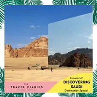 The Travel Diaries artwork