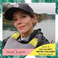 The Travel Diaries artwork