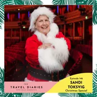 The Travel Diaries artwork