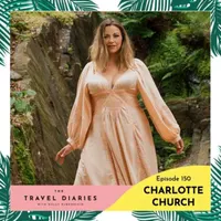 The Travel Diaries artwork