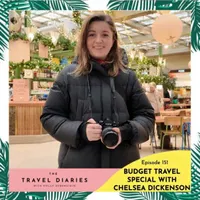 The Travel Diaries artwork